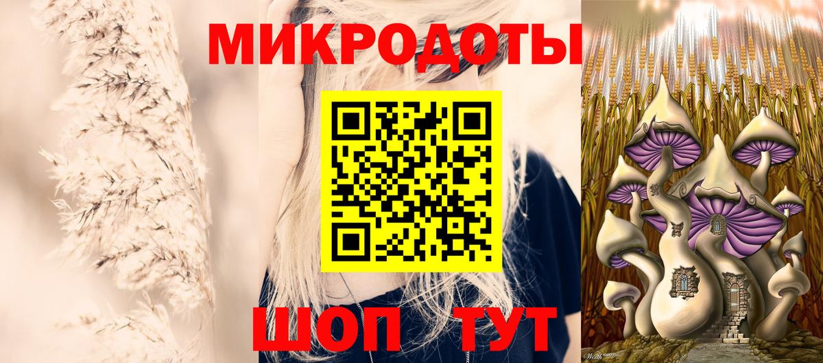 Псилоцибиновые грибы мицелий Гусиноозёрск